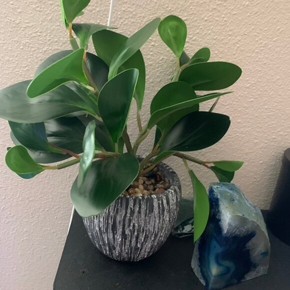 NEW Artificial Plants Real Looking and Touching Fake Plant Evergreen Plastic - Picture 7 of 10